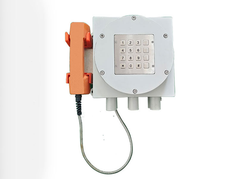 二月二 龍?zhí)ь^，恭祝大家步步高升